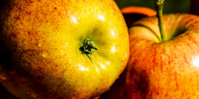 免费手机号轰炸